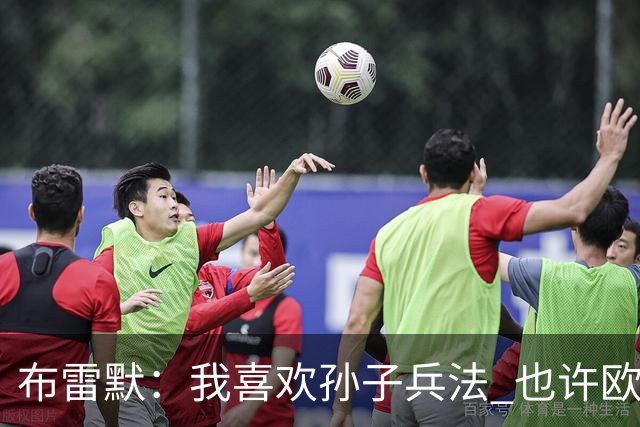 布雷默：我喜欢孙子兵法 也许欧联杯我们能最终夺冠